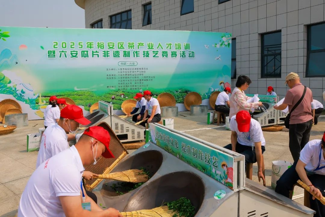 4月28日裕安区瓜片制作技艺竞赛开赛！谁能在31精英中脱颖而出？  第2张