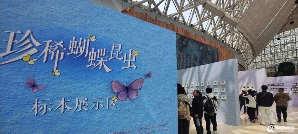五一青岛世博园芝樱花海节来袭！错过等一年？赶紧收下这份攻略  第2张