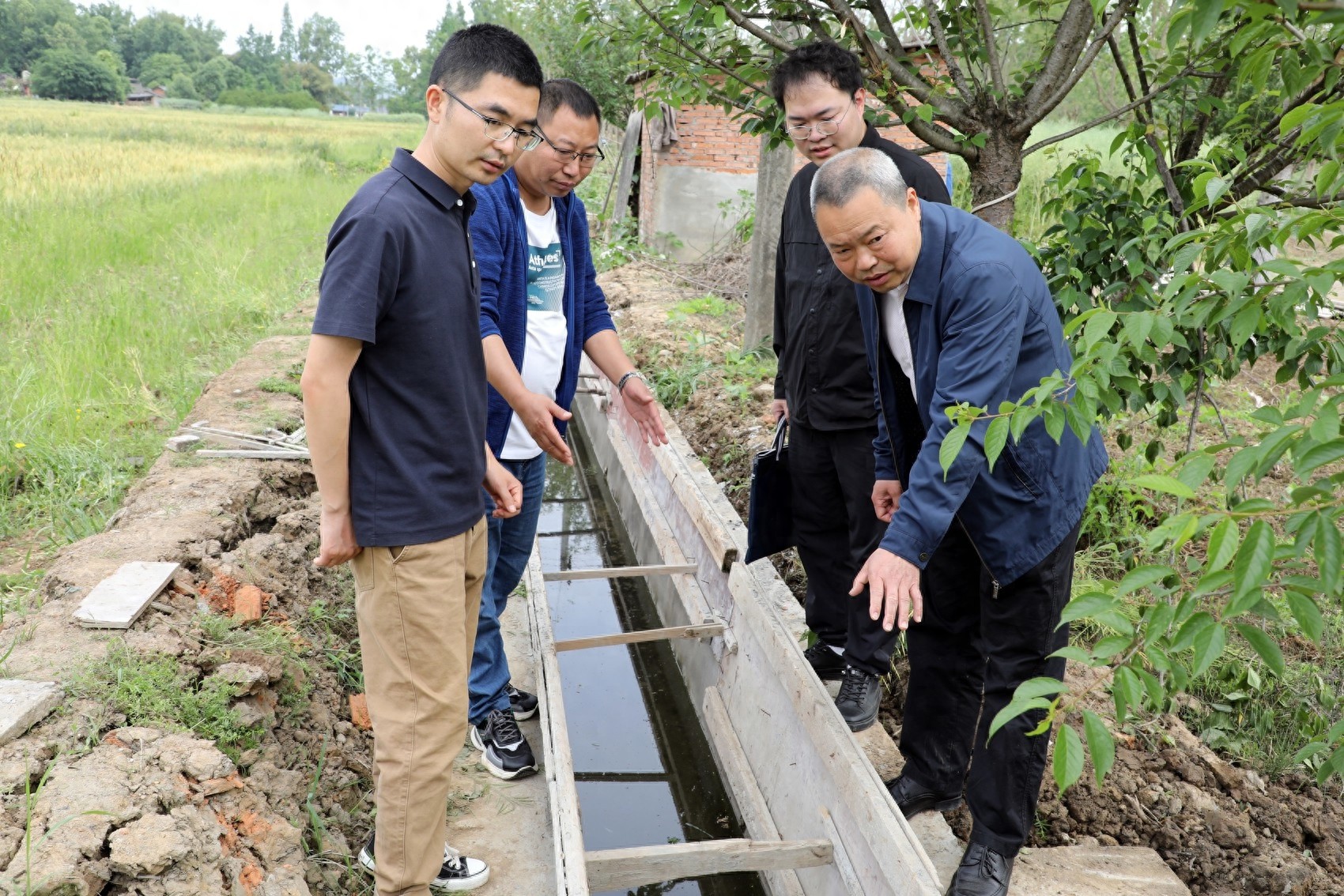 高标准农田建设成糟心事？是施工问题还是管护缺失？农户咋种粮