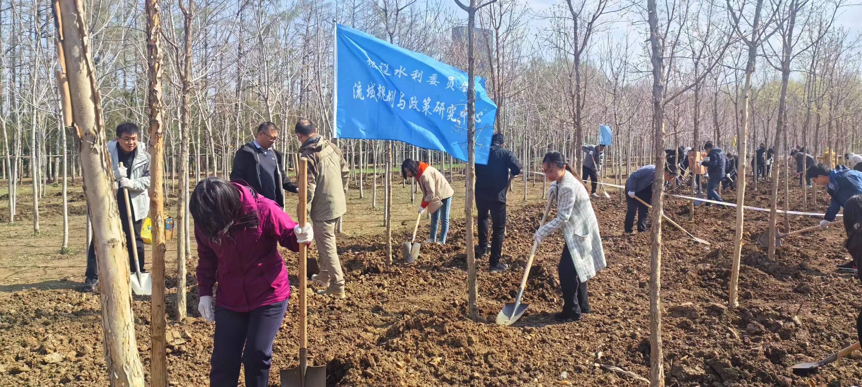 130 余名干部职工齐聚长春义务植树？这场面太震撼  第2张