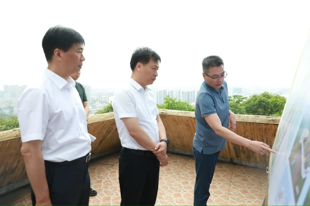 区领导多地视察！加强道路建设、推进项目，能否大幅提升城市形象？  第4张