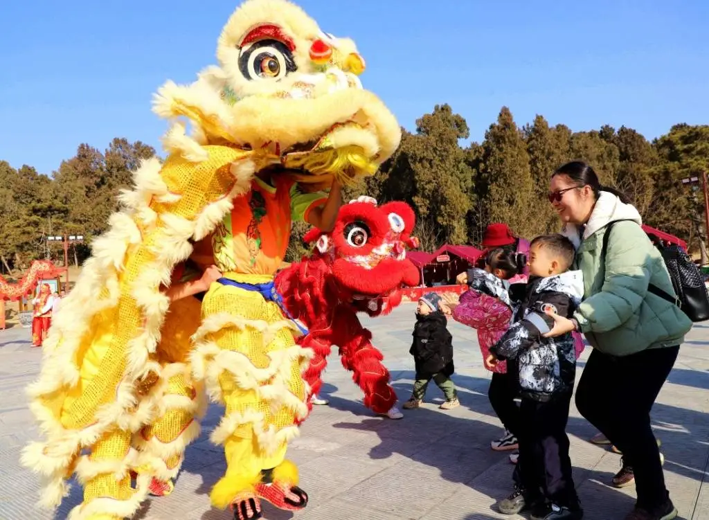 2025年除夕，南阳卧龙岗的舞狮表演为何让人泪目？团圆的力量超乎想象