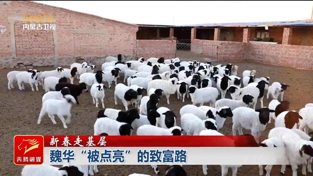 零下20度的草原上，魏华家的灯为何如此温暖？揭秘边境地区的振兴奇迹  第15张
