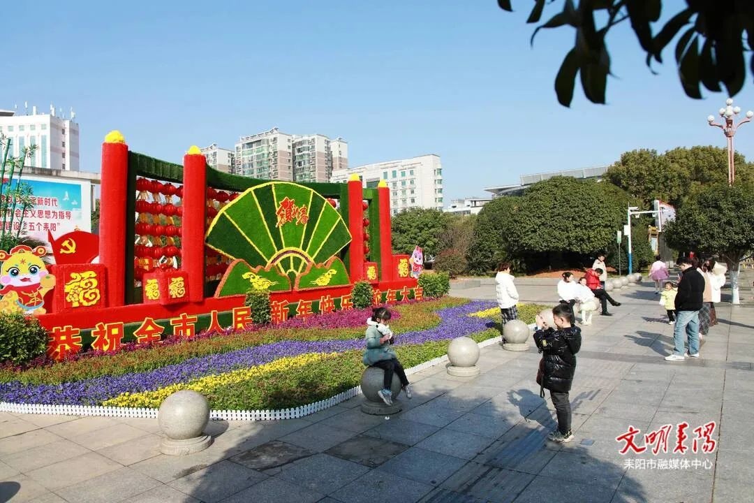 耒阳新春花卉造景惊艳亮相！你准备好带孩子感受这浓浓年味了吗？  第4张