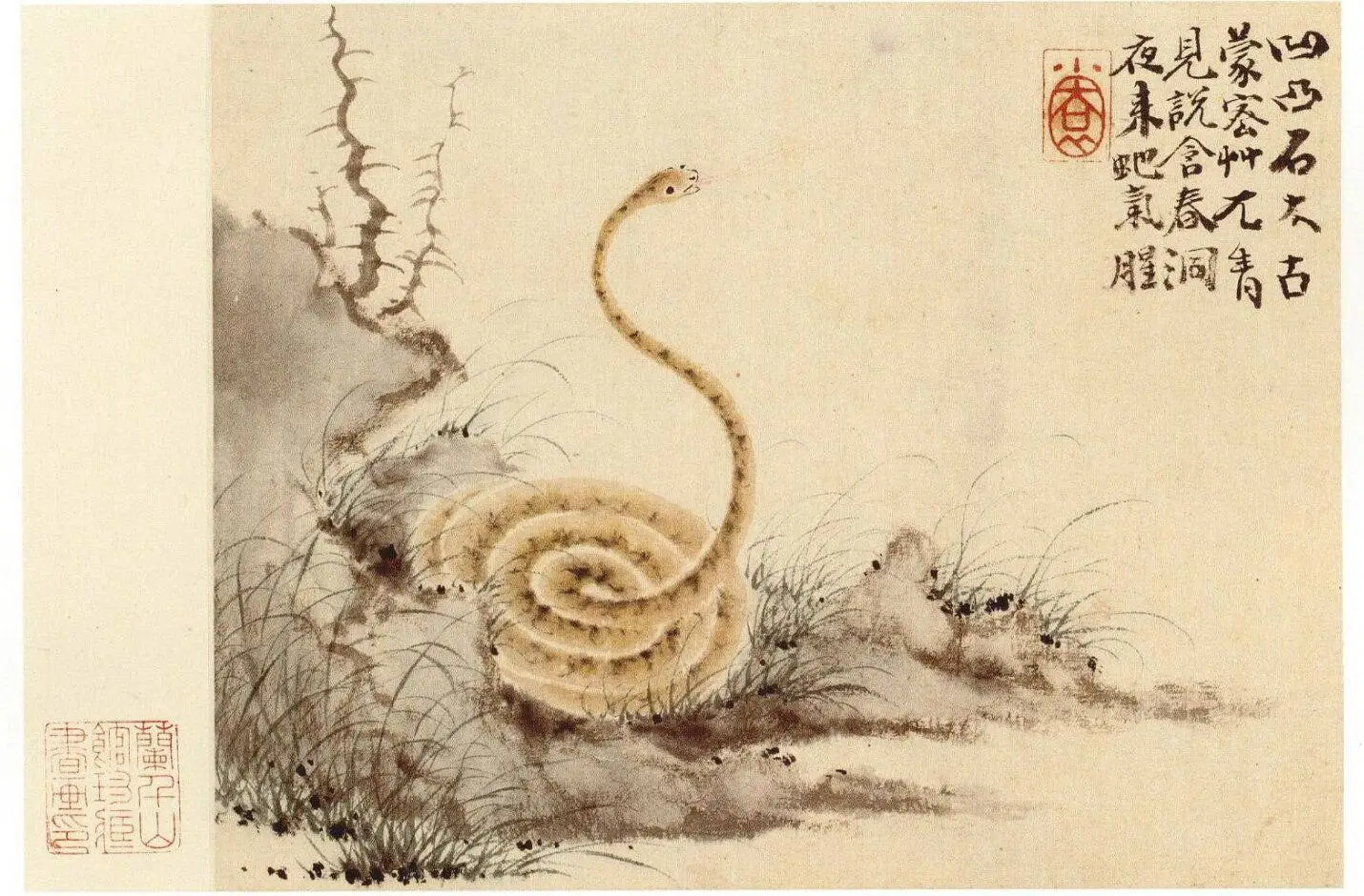 龙蛇混杂！古人为何用‘龙蛇’喻人、喻书法、喻兵器？揭秘背后的深意  第3张