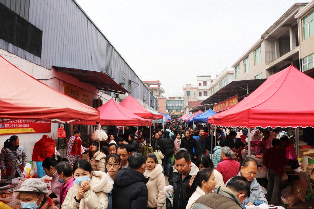 路口镇腊月廿五逢圩:蛇年最热闹的圩场!你去过吗?