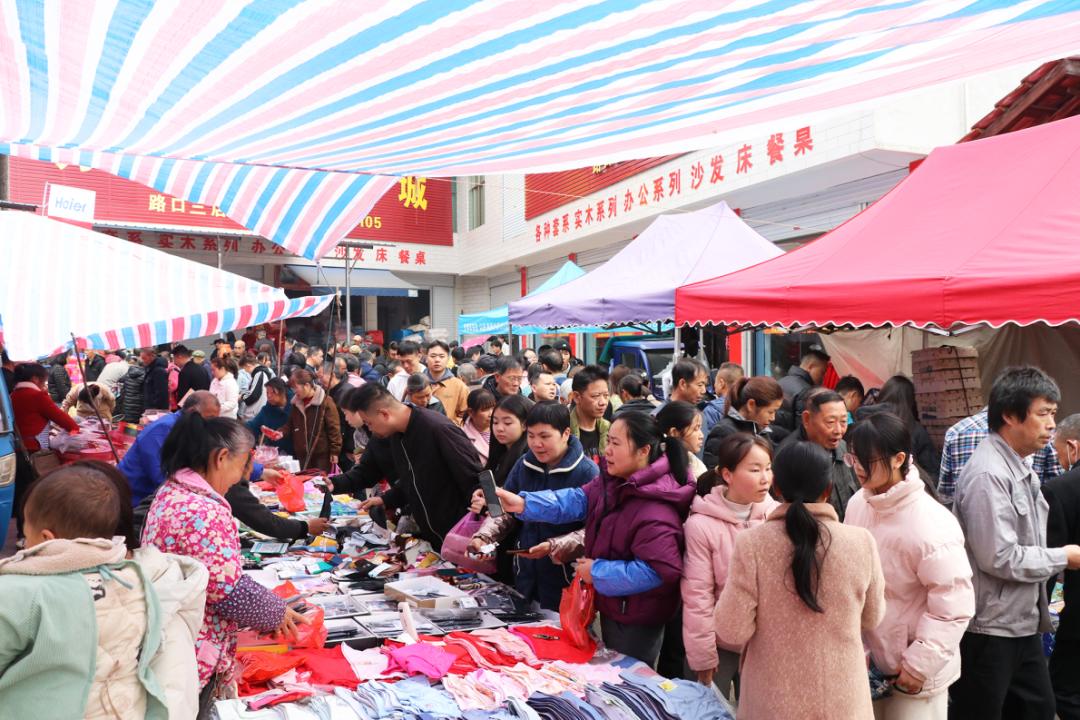 路口镇腊月廿五逢圩:蛇年最热闹的圩场!你去过吗?  第11张