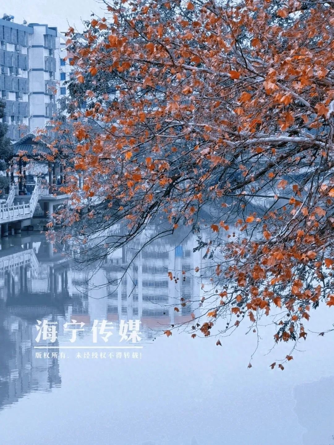 明天天气怎么样？大潮拍客告诉你最新预报  第1张