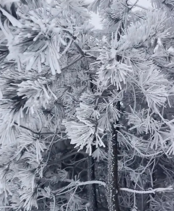 大年初一蓝天白云！景区人满为患，但气温即将猛升猛降还有雨雪？珍惜当下好天气  第8张