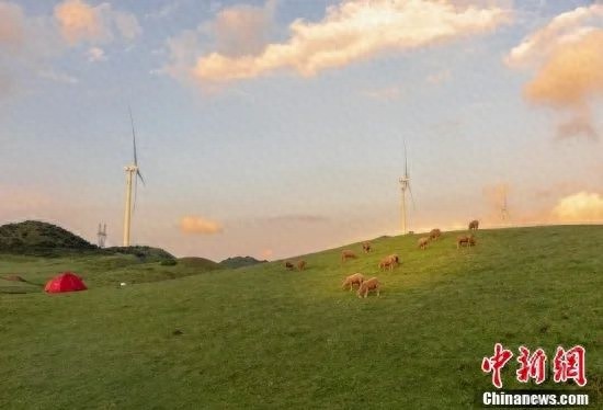 温暖：像阳光亲吻草木，你想做温暖的人吗?
