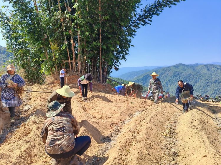 返乡就业月薪7000多元还能顾家? 陇川王子树乡500多人做到了!  第2张