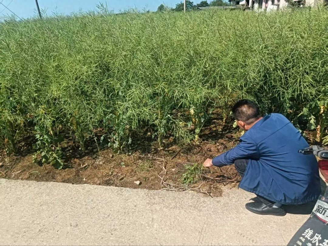 强对流天气下养龙司镇迅速行动，守护群众生命财产安全？  第1张