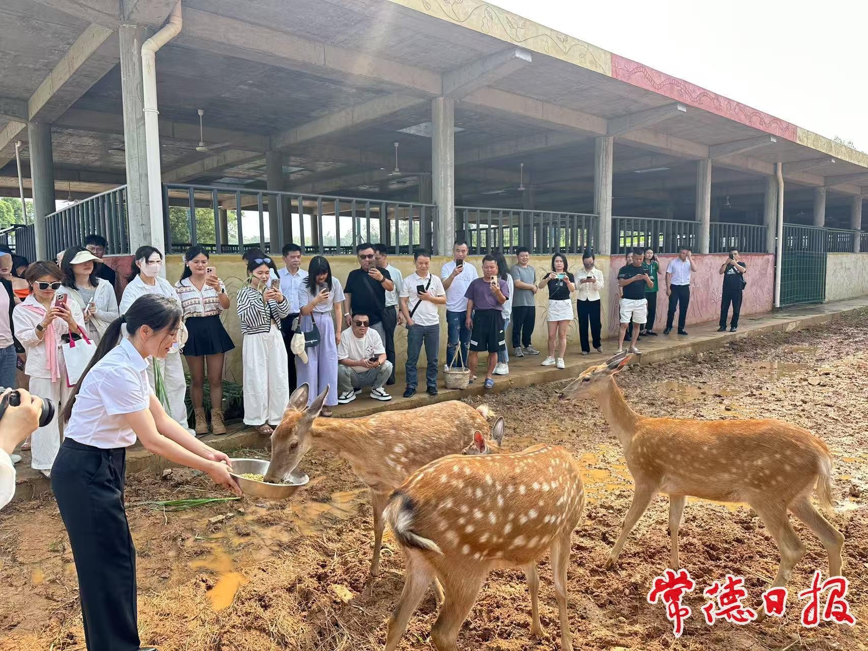 4月28日常德野生动物世界放大招！中华大鹿园和水豚馆同日开馆？  第3张