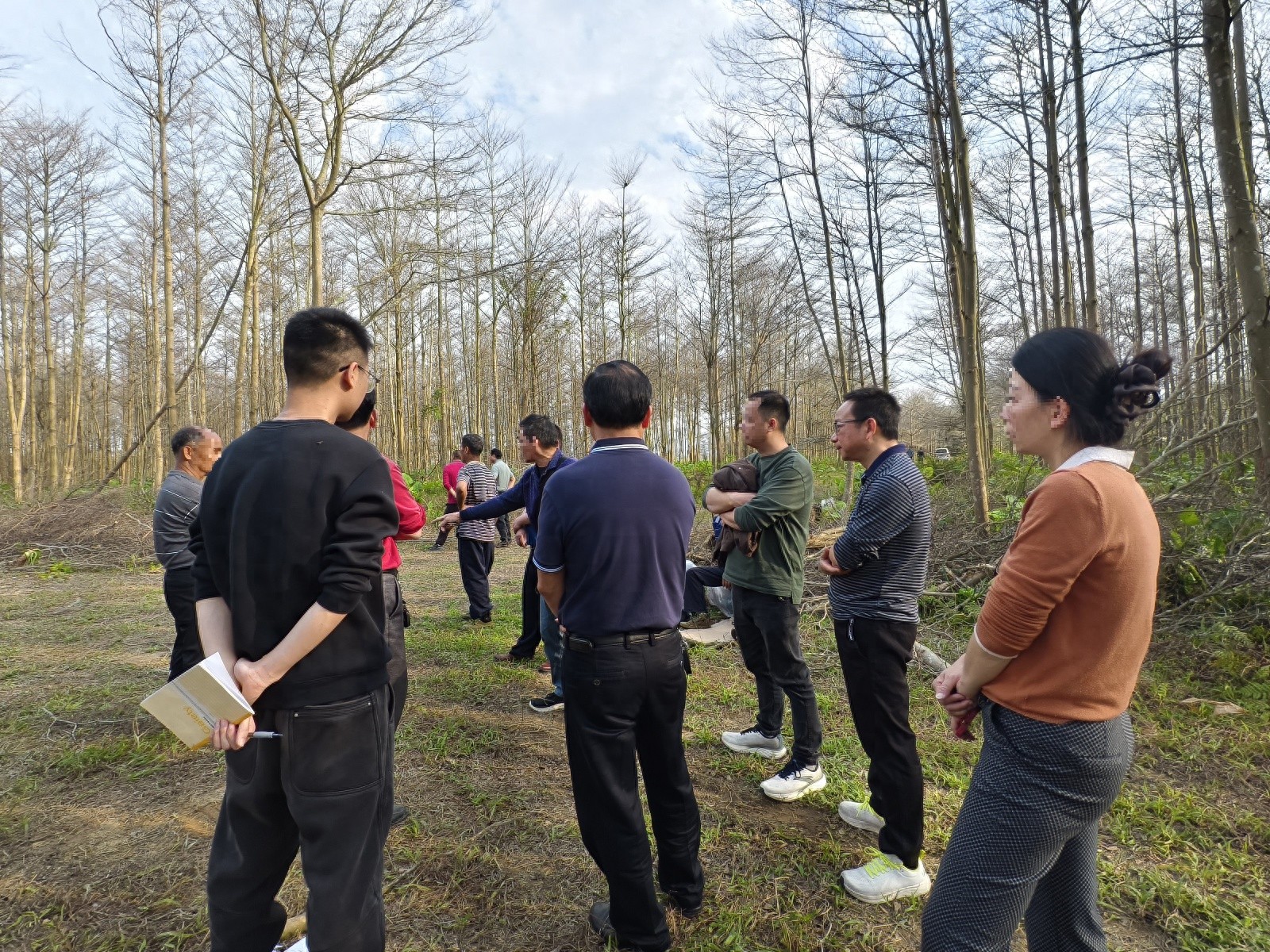 土地承包合同纠纷高效化解！金鸡司法所究竟是如何做到的？