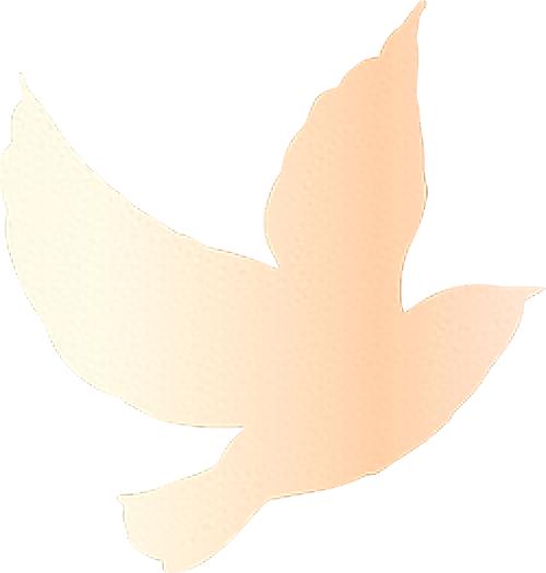 五一劳动节！我省70名劳模受表彰，这些亮点你知道吗？