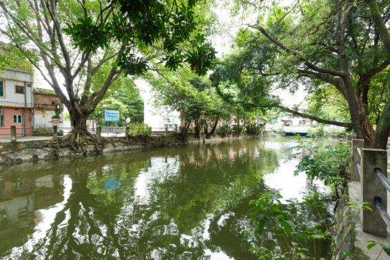 莞城街道如何打造文旅融合典型社区？老城新颜背后藏着这些秘密  第5张