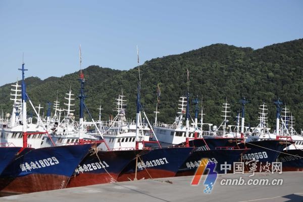 5月1日起东海全面休渔！宁波3607艘渔船将返港，今年制度有多严？  第3张