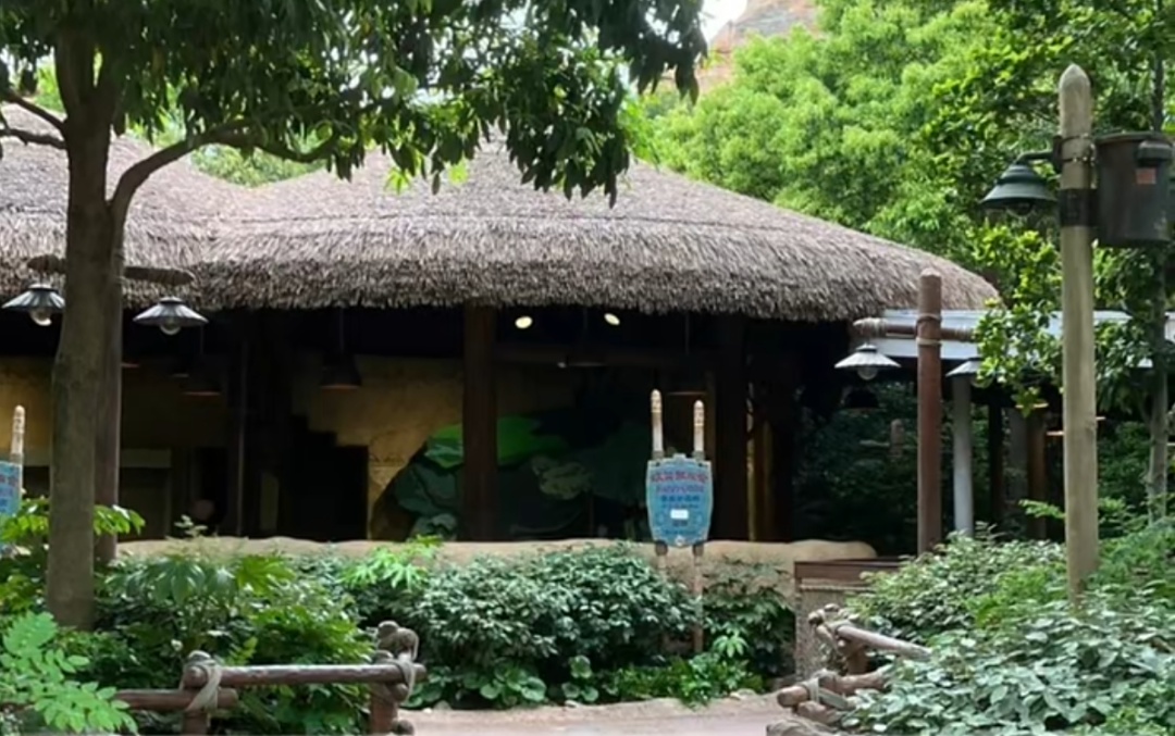 迪士尼热门互动项目停运？游客不舍，冷门角色何去何从  第5张