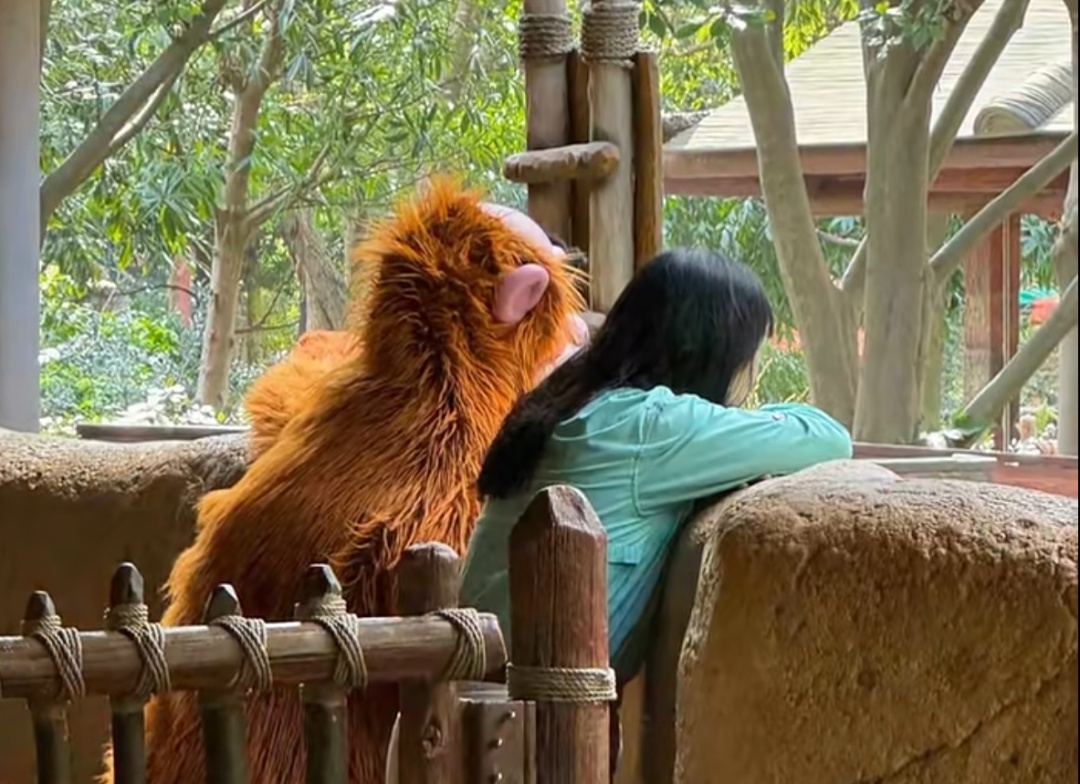 迪士尼热门互动项目停运？游客不舍，冷门角色何去何从  第8张