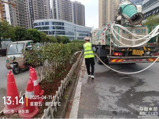 碧江区城管局开展城区绿化补植专项行动！近11万株苗木能否打造绿色生活环境？  第5张