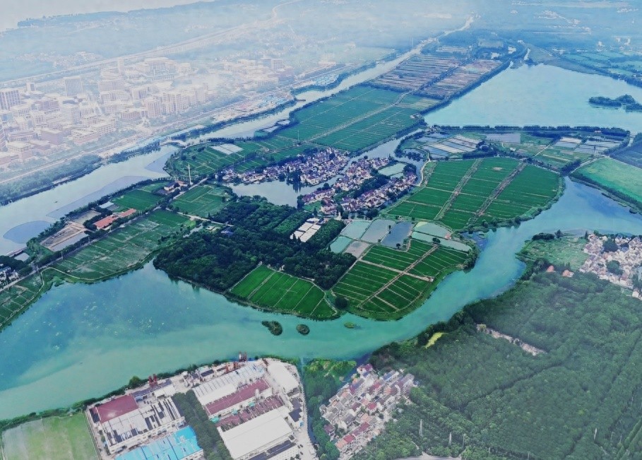 上海首批约20个湿地空间营造试点！6月底前还有重磅指南发布？