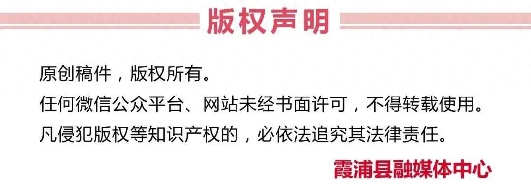 2025 年五一霞浦县城区公交免费乘坐？你准备好了吗