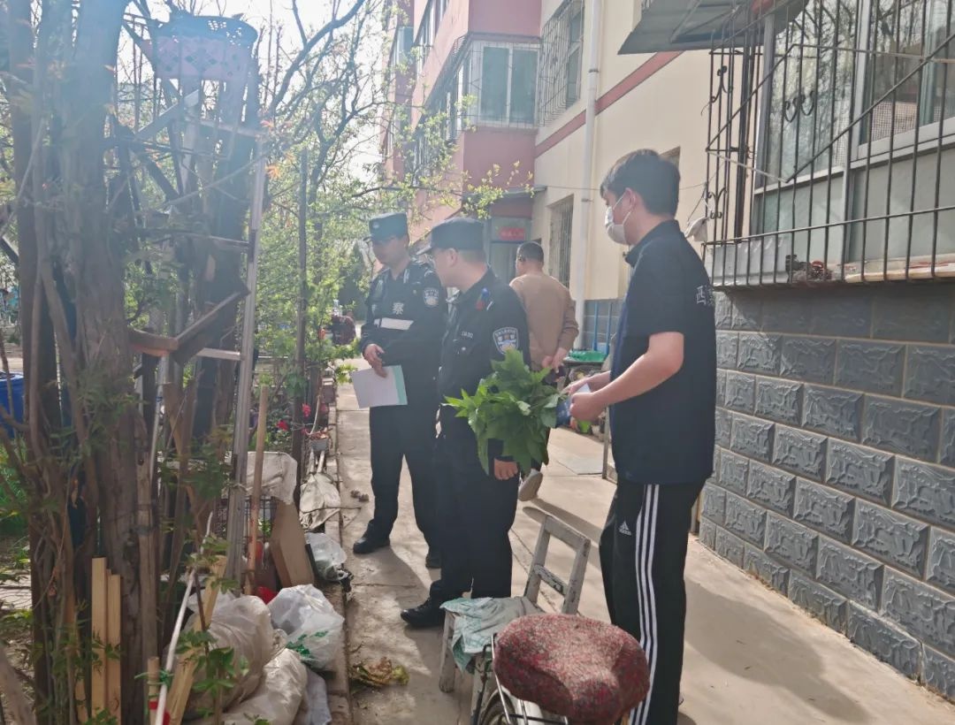 银川一小区现大麻植株，业主咋会不知情？背后隐患引人深思  第2张