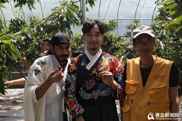 4月29日青岛艾山乡村振兴示范片区四季鲜果采摘活动启幕！你去了吗？  第5张