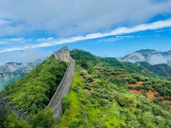 4月29日蓟州区区长张建宇做客直播间，2025年文旅建设啥样？  第7张