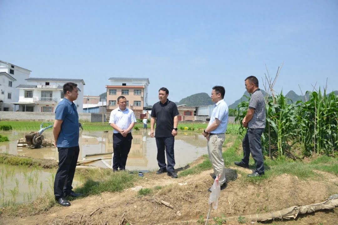 4月29日区长深入沙田镇、鹅塘镇调研！这些工作重点你知道吗？