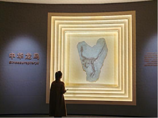 世界化石之都焕新归来？辽宁朝阳鸟化石国家地质公园升级开园