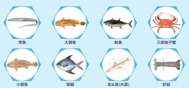 休渔时间到！东海虾兵蟹将暂别上虞餐桌，生鲜市场咋应对？  第4张