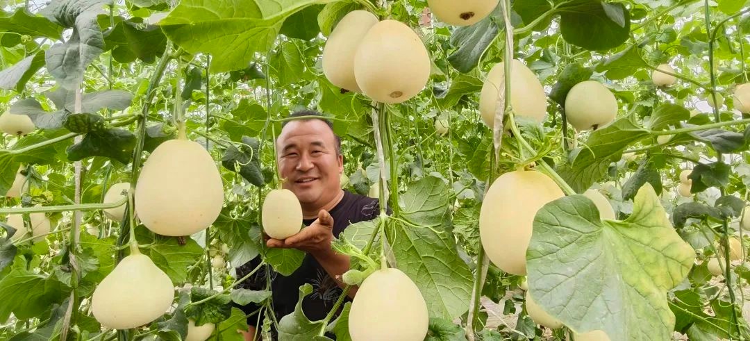 劳动创造幸福！环卫工人与建筑工人如何书写城市传奇？  第5张
