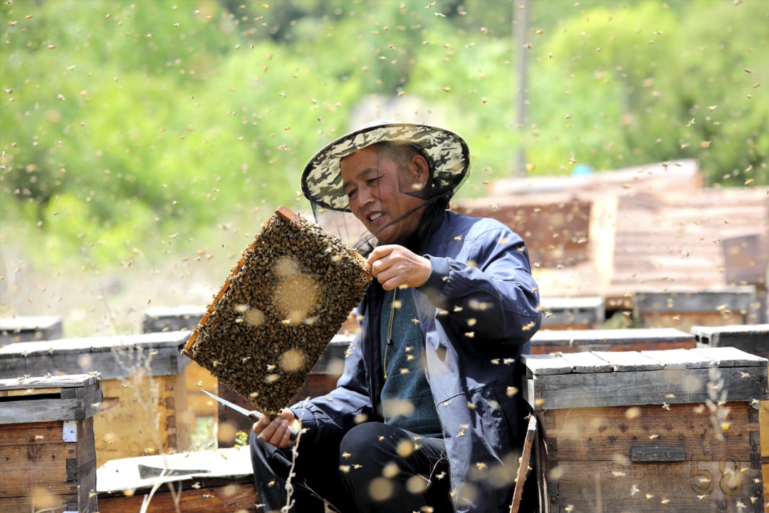 劳动创造幸福！环卫工人与建筑工人如何书写城市传奇？  第6张