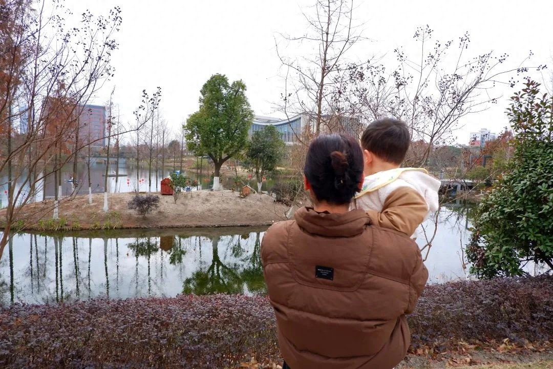 古美公园湖中小岛上的30多只小鸭子，为何让市民高女士和小朋友如此着迷？  第1张