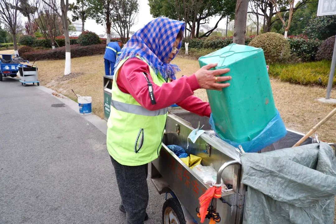 古美公园湖中小岛上的30多只小鸭子，为何让市民高女士和小朋友如此着迷？  第8张