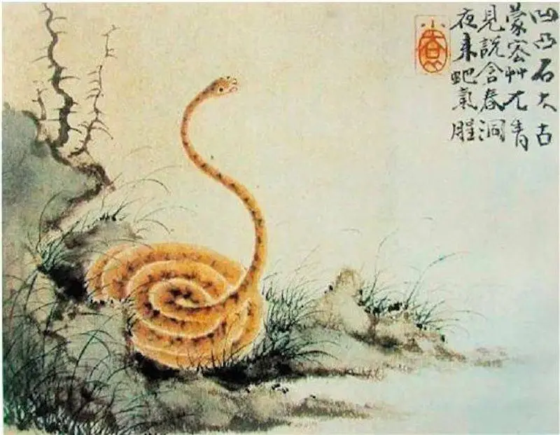 乙巳蛇年看蛇图腾变迁! 传统文化中蛇形象知多少?  第10张