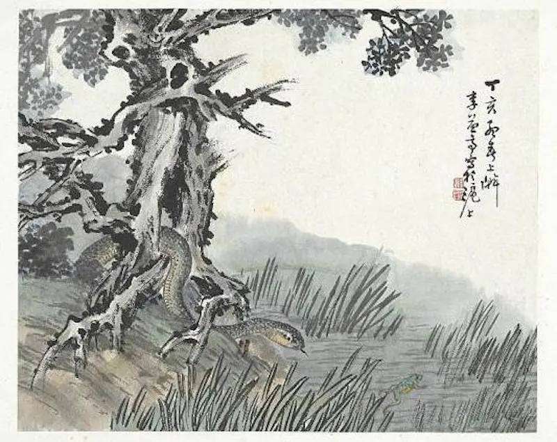 乙巳蛇年看蛇图腾变迁! 传统文化中蛇形象知多少?  第13张