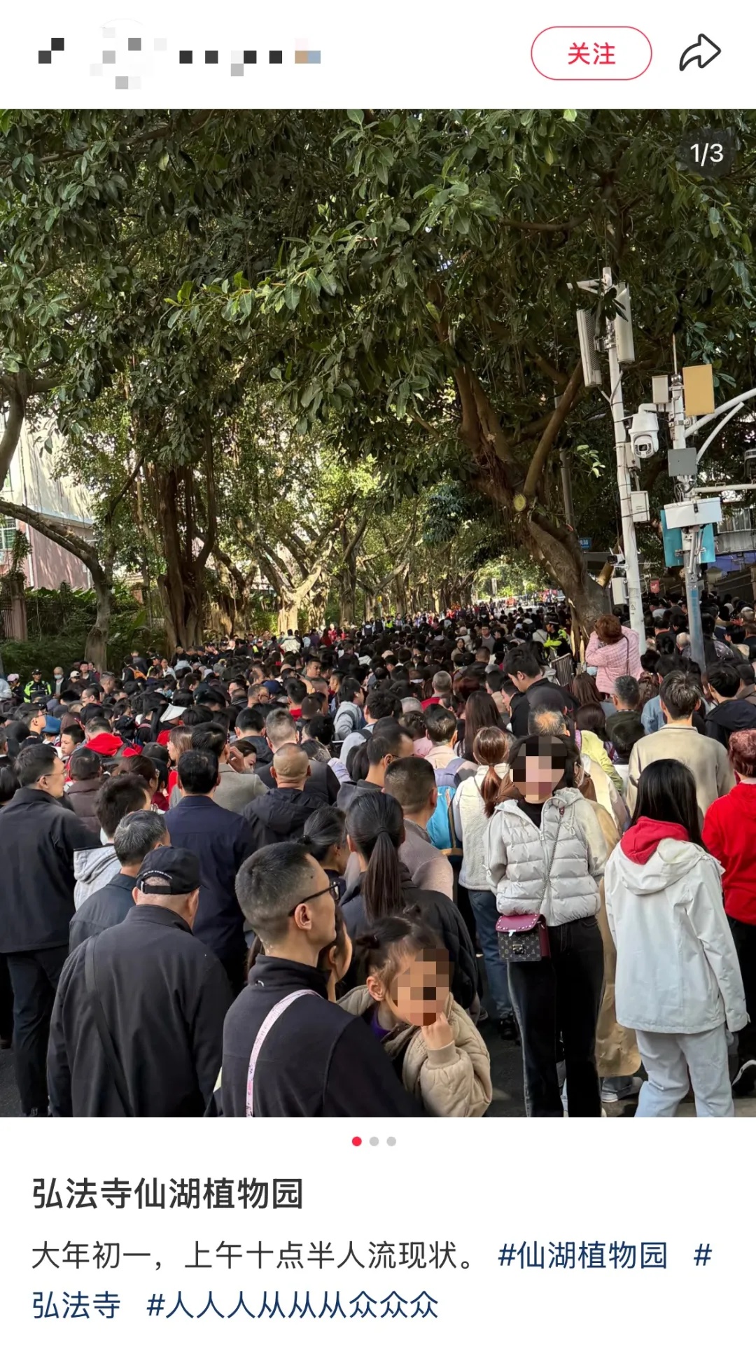 春节出游人潮汹涌！你还在犹豫什么？快来看看这些热门景区的盛况  第6张