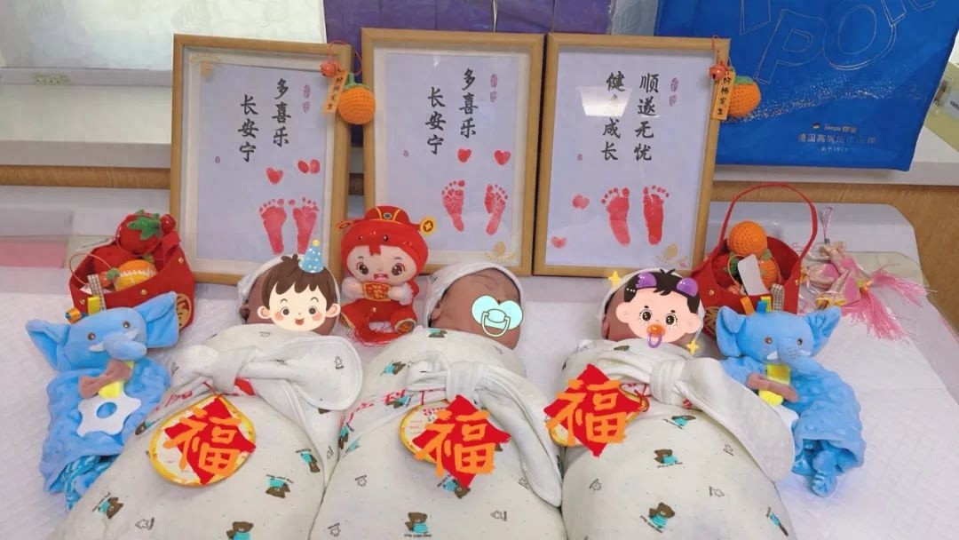 新年第一天，蛇宝宝降临！你知道他们的体重和身长吗？