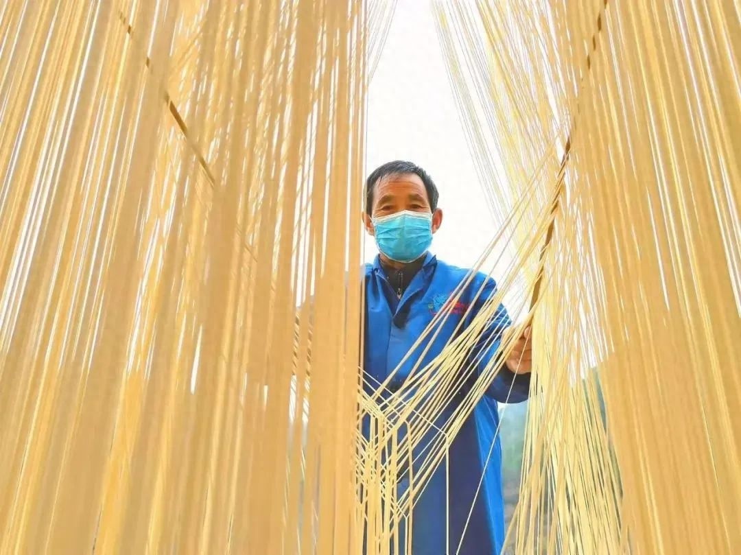 手工挂面如何成为村民的致富秘诀？揭秘龙义平夫妻的日夜忙碌