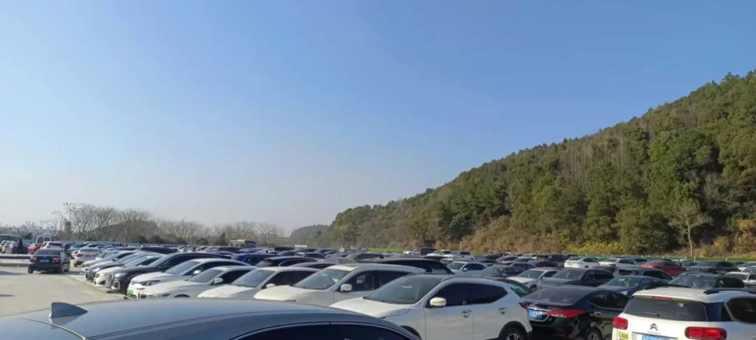 大年初二交通堵爆了！景区周边如何顺畅出行?  第3张
