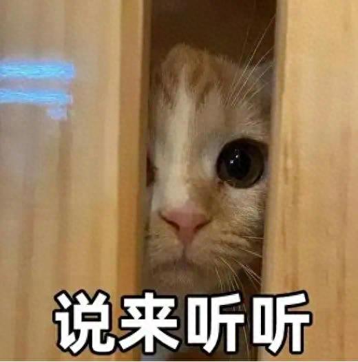 大年初二阳光正好宜出游，但蛇年首轮雨雪即将来袭
