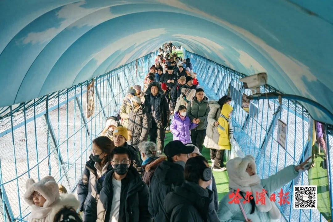 东北虎林园爆满！300多只老虎每天迎接1万游客，你还不赶紧带孩子来体验？  第1张