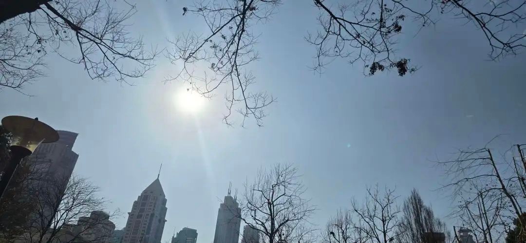 上海天气大反转！今晴好明天起阴雨 惊不惊喜?!  第5张