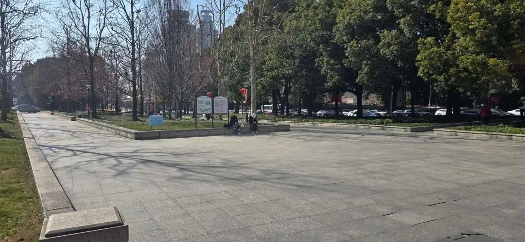 上海天气大反转！今晴好明天起阴雨 惊不惊喜?!  第6张