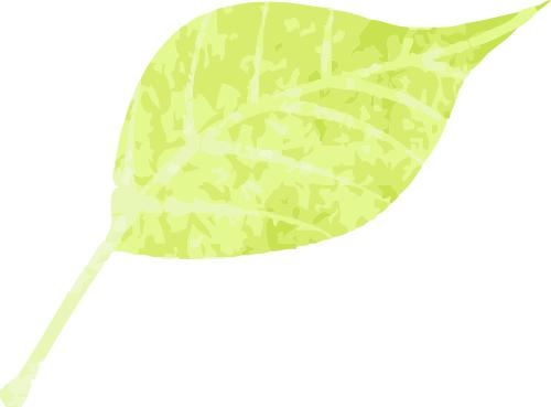 蔬菜中的舶来品？从汉代起就陆续从外国引进，你知道多少种？  第5张
