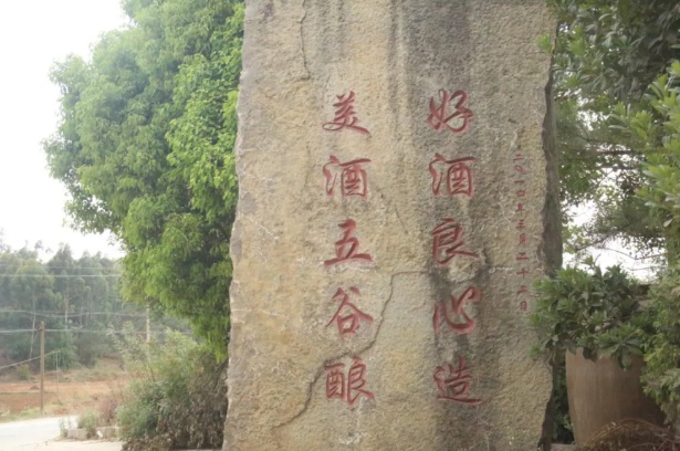 海拔高处昼夜温差大！绿水塘美酒与人参果，你不来尝尝？  第3张
