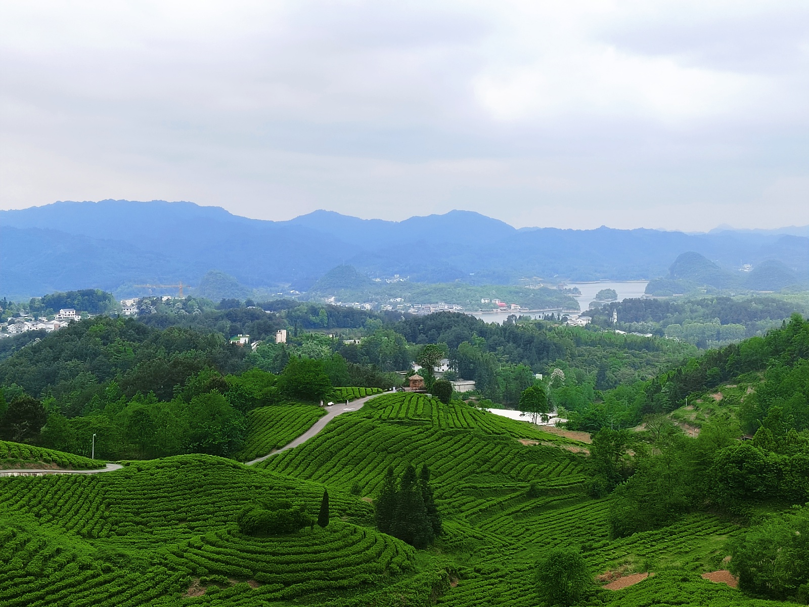 100天春季、100分美丽！这场茶山湖泊旅居体验之旅你去过吗？  第3张