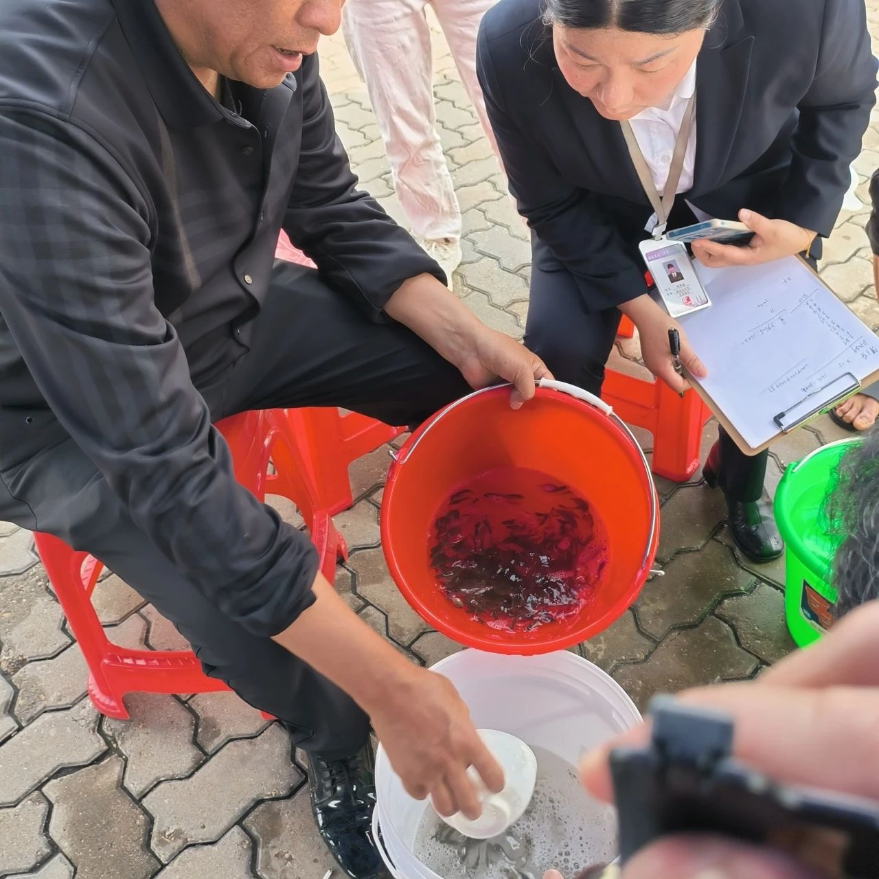 4月10日厦门增殖放流10亿只鱼虾苗！这是怎样的生态补偿实践？  第2张